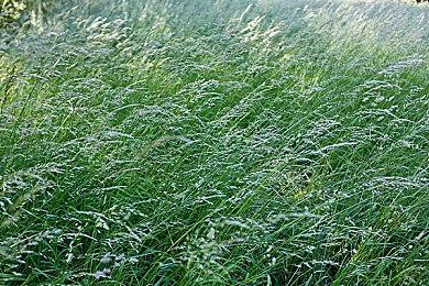 传PS5 Pro从原型机到发售 整个过程仅花了19个月